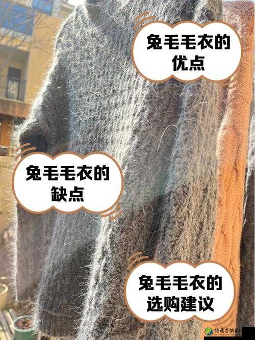 荒野求生必备！5招教你轻松囤大肉兔毛