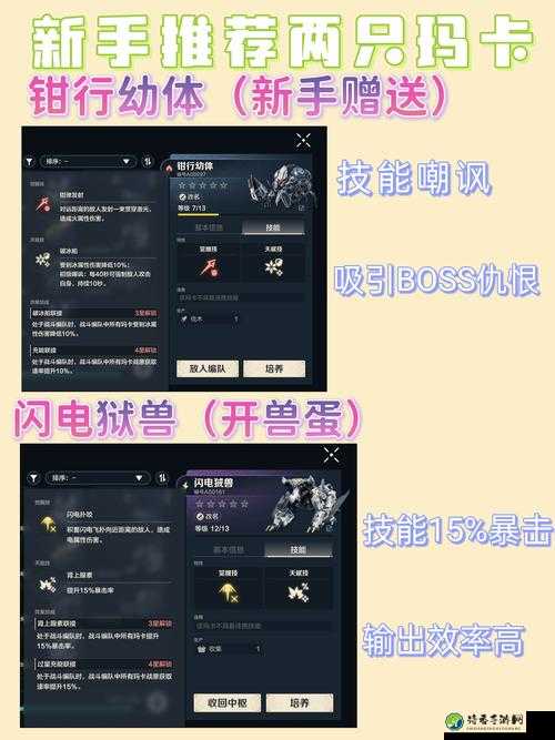 无主之地2魔女vs刺客终极对比！手残党必备的职业选角指南