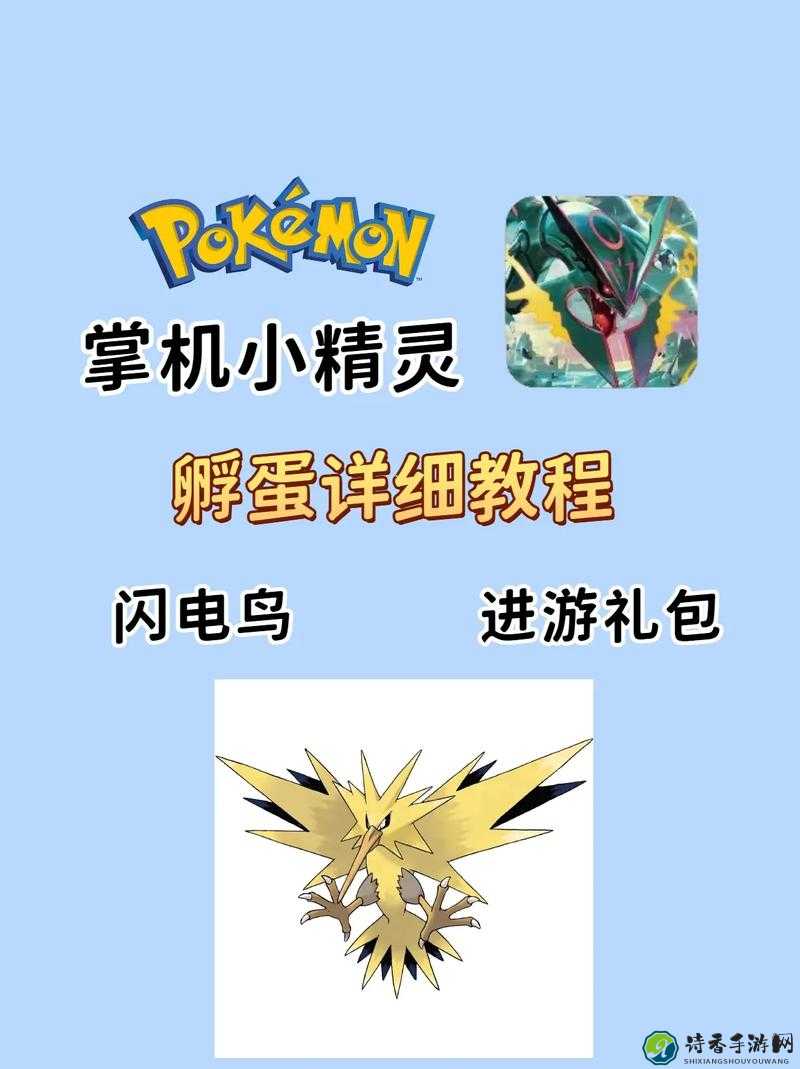 口袋妖怪XY孵6V蛋绝密技巧！萌新秒变孵蛋大神