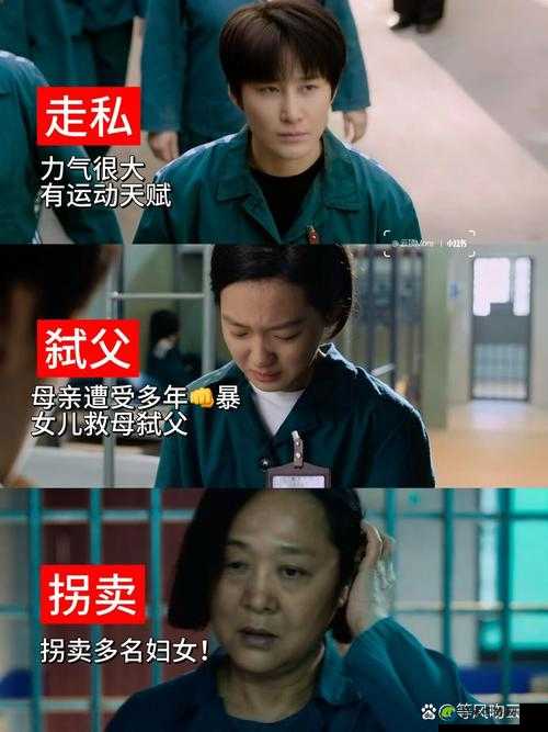 我叫张婷婷高原李飞高原的我们这样携手走过高原则语录热传背后的社会现象解析
