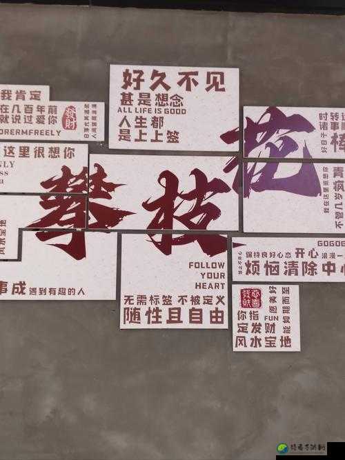 永久免费未满sp的真相：这个错题本藏着年轻人的觉醒密码