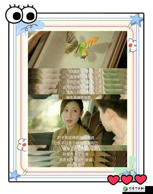 新婚处破女初尝滋：从忐忑到绽放的成长之旅