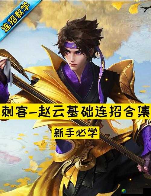赵云隐藏神技大揭秘！特殊状态触发技巧让你战力翻倍