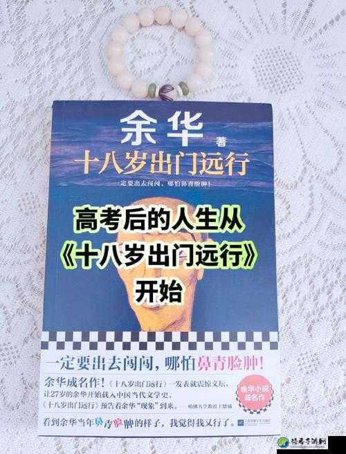 十八岁完整版高清免费观看：蜕变中的年轻人如何找到人生方向？