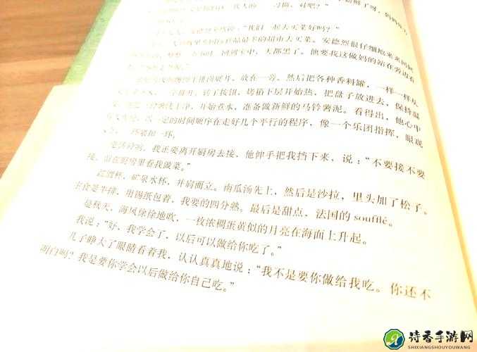 公主与皇上的成长之旅：从懵懂到肩负责任