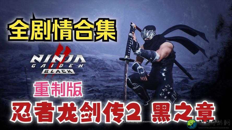 剑勇传奇忍者龙剑传Z闪退必看！BINKW32DLL缺失秒修复攻略