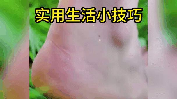 迷你西游前中期必看！零失误闯关秘诀，冷门技巧让你快人一步！
