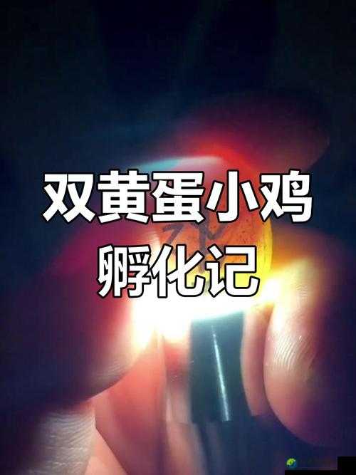 小🐤🐤戳进🍑无遮挡日本：文化碰撞与真实体验