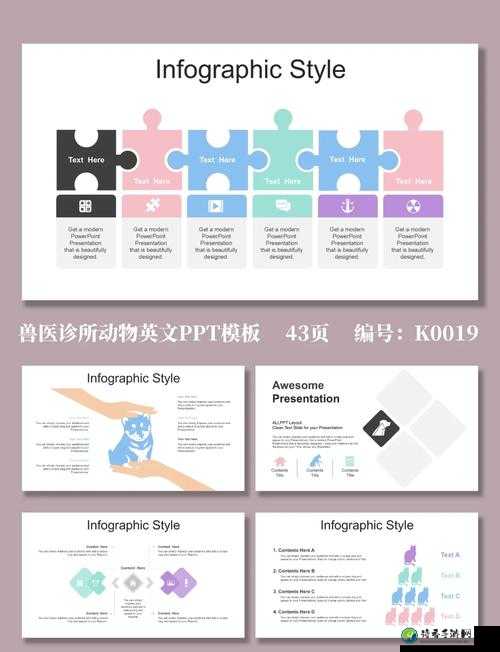 欧美人动物ppt免费模板大全｜高颜值设计拯救你的职场PPT演讲