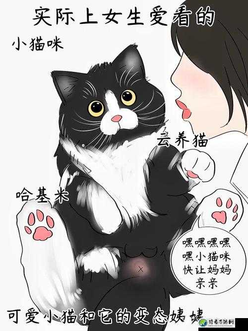 禾未s脚奴调教丨VK现象背后：情感操控与自我保护的边界在哪里？