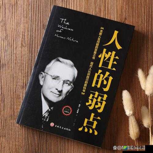 婷婷调教的视频丨ⅴk爆火背后：生活启示录与自我突破的职场哲学