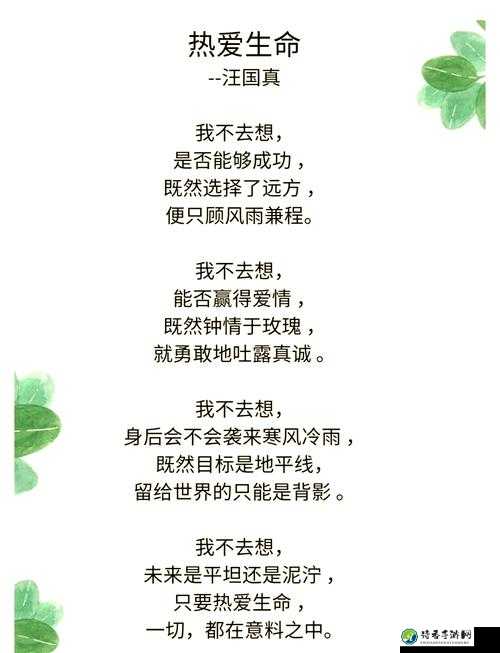 青楼女高H,NP：她们用坚韧书写的生命诗篇，社会该如何看见她们的光芒？