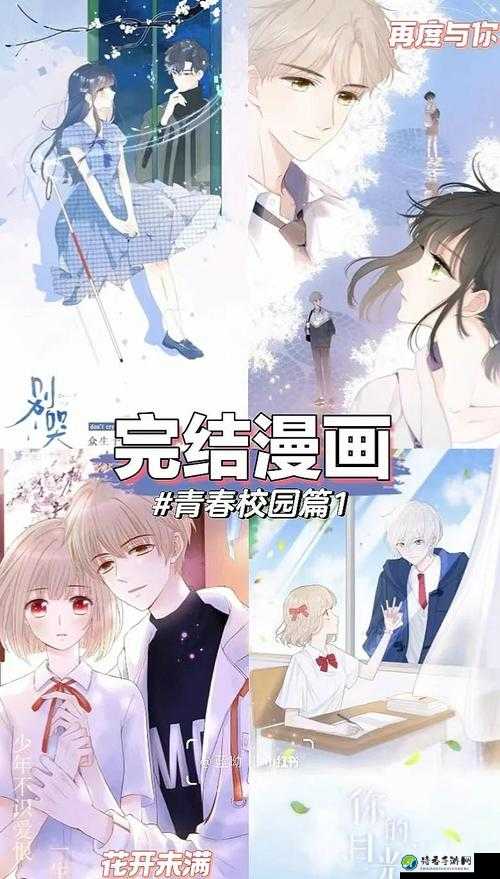 班花脱裤子漫画事件背后：校园文化与青少年成长的无声战场