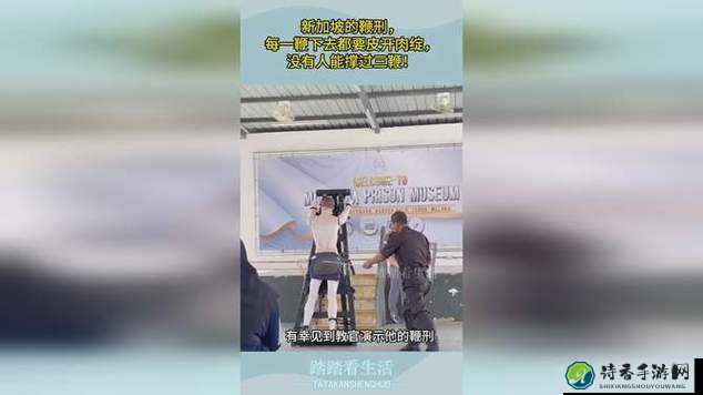 SM皮鞭暴力抽打调教视频爆红背后：当代年轻人的情感救赎之路