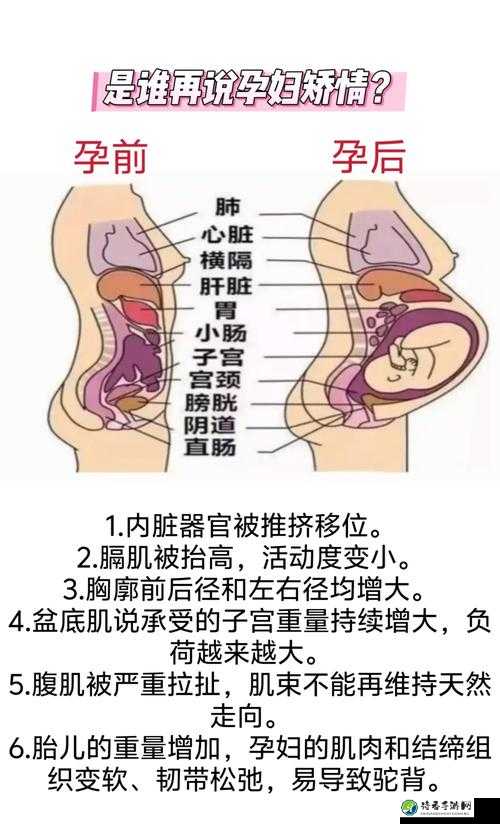 孕妇被C到爽един痉挛：孕期情感与身体舒适平衡之道
