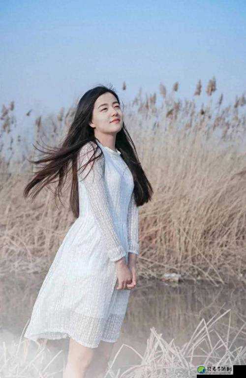 美女免费视频观看：如何在智慧生活中平衡娱乐与文化追求