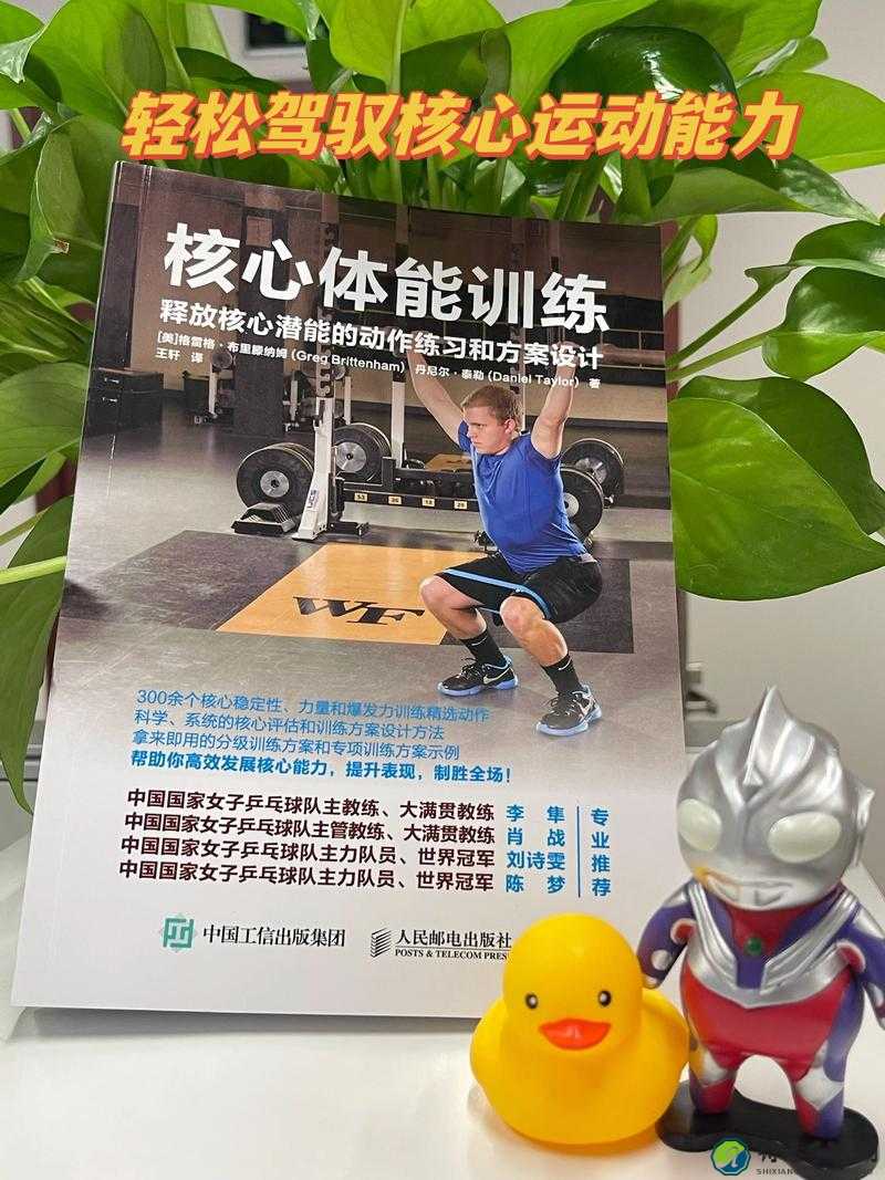 核心之力到底多好玩？深度评测让你欲罢不能！