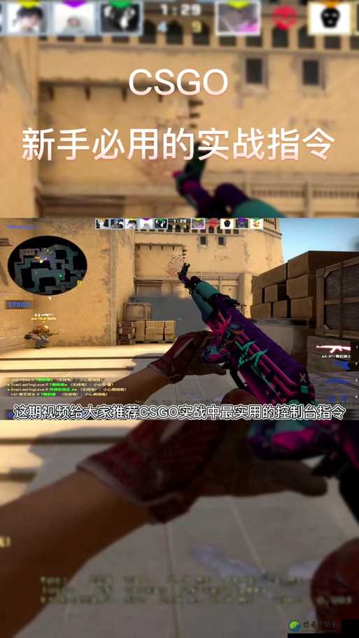 新手必看！老玩家私藏的CSGO实战血泪教训！这5个习惯让你永不翻车