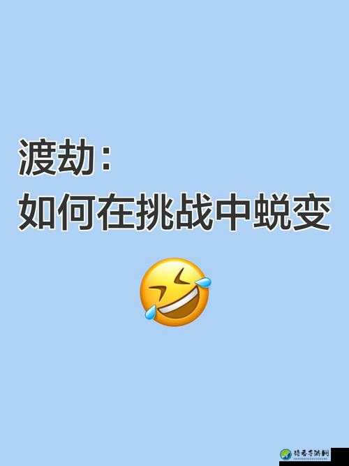 寸止挑战精品久久久一区二区三区：从争议到蜕变，社会现象背后的深层思考