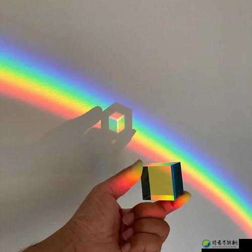 彩虹🌈GyCm：科技如何打破性少数群体的孤岛
